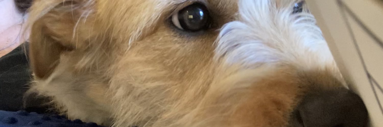 bridgieeeth's profile banner image
