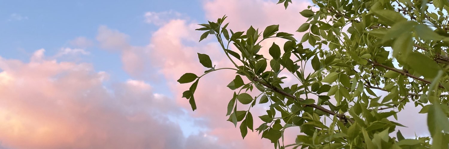 crrdz_'s profile banner image