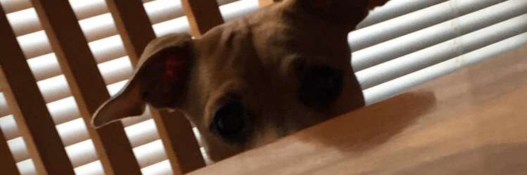_justtrob's profile banner image