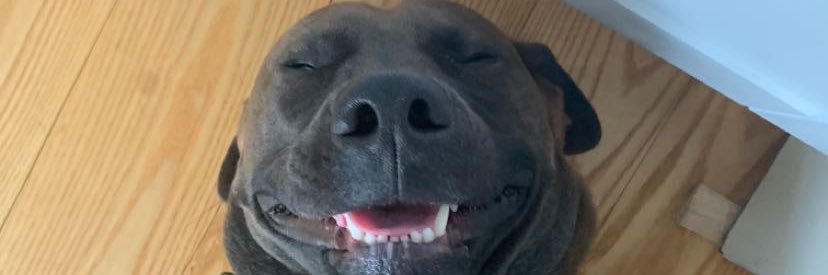 kayshaze's profile banner image
