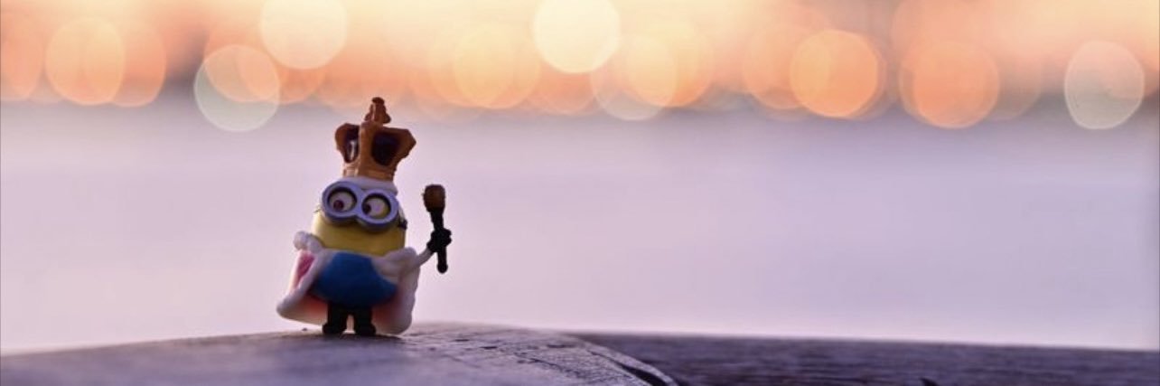 diane9986's profile banner image