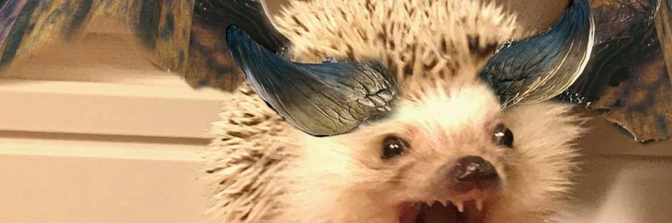 davidcherrin's profile banner image