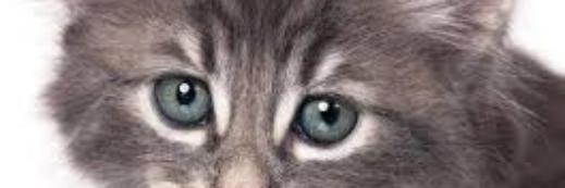 The_AL_360's profile banner image