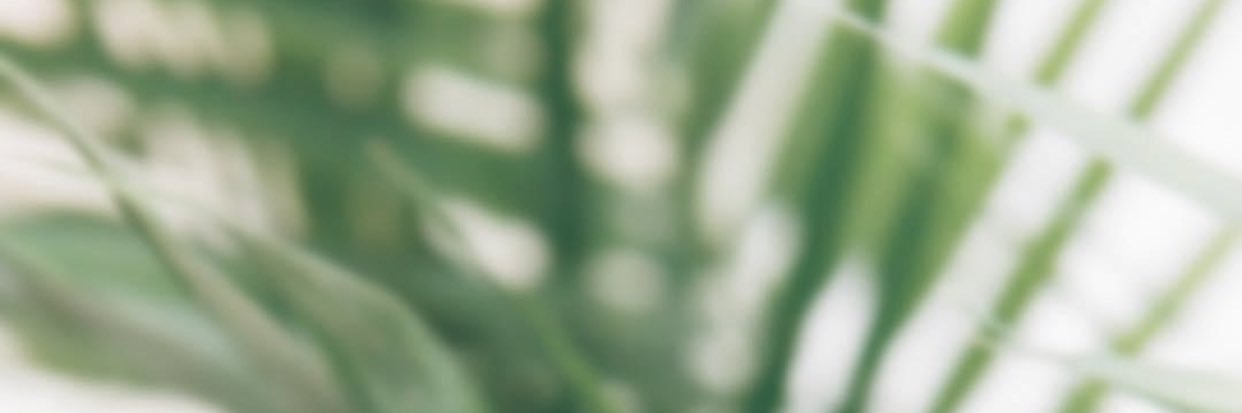 msdigitalwealth's profile banner image