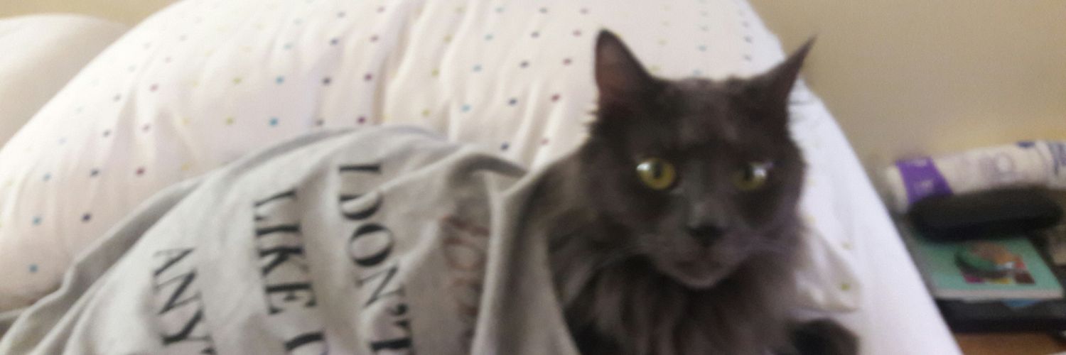 Marcelapazr's profile banner image