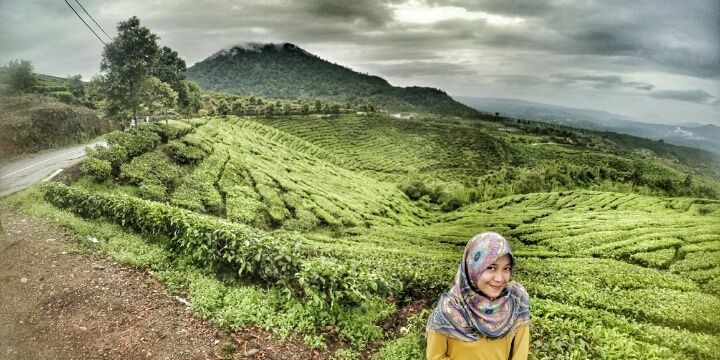 isfirosyani's profile banner image