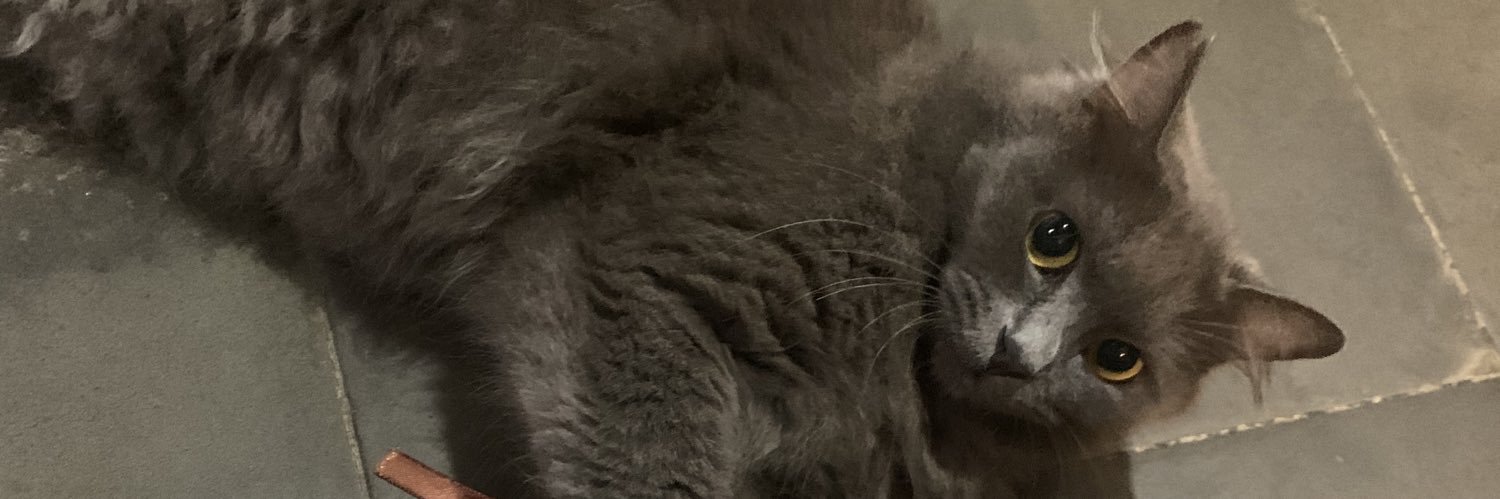 ewik™ banner