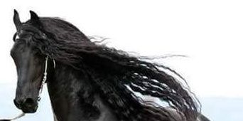SeguyaKevin's profile banner image