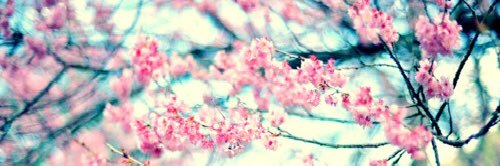 AngieDennehy's profile banner image