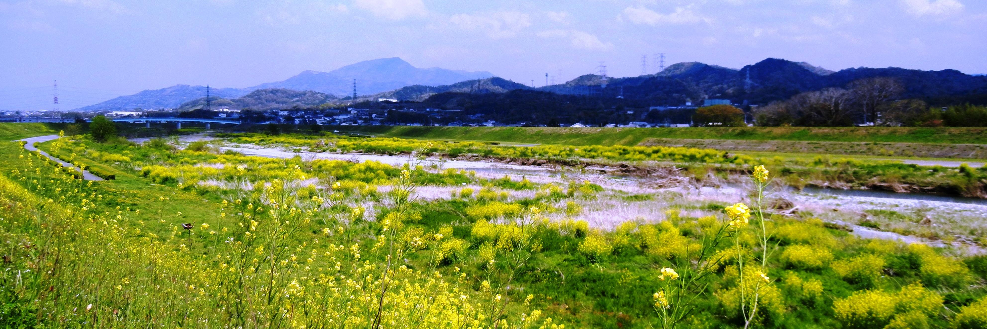gotectec's profile banner image