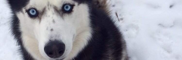CourtneyRees3's profile banner image