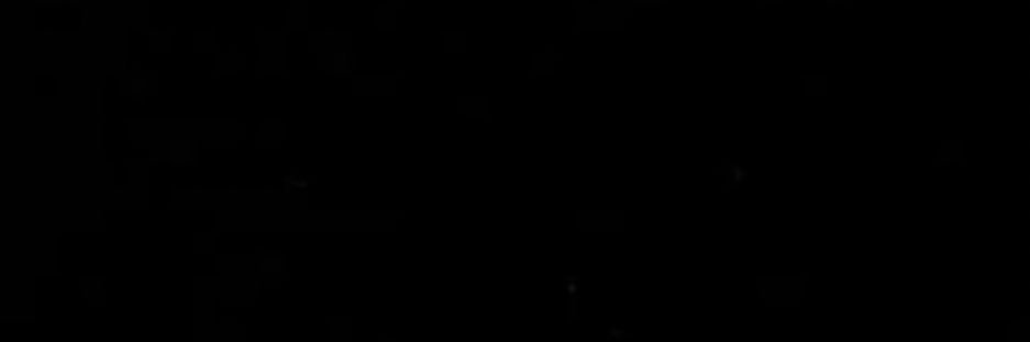 danixbean's profile banner image