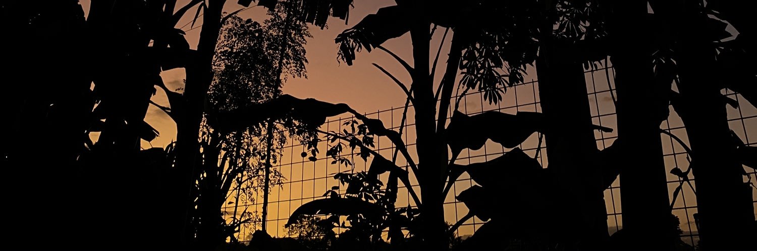 ilvusomatcha's profile banner image
