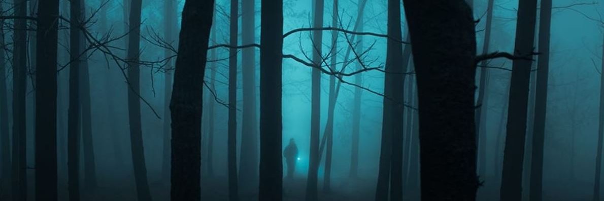 FxZ3 TheCoinCollector banner