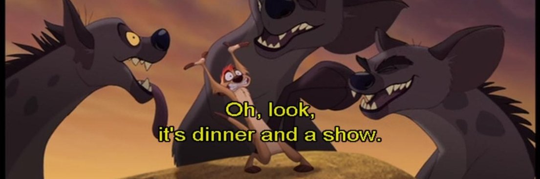 HyenaDiaries's profile banner image