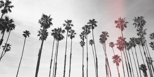 DearWorId's profile banner image