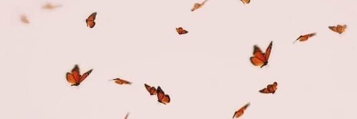 mary37_25's profile banner image