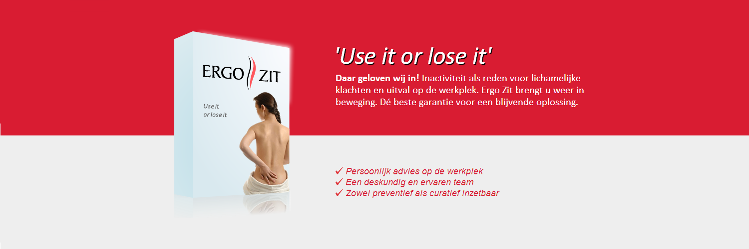 ergozit's profile banner image