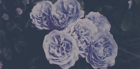 Daphne_Elferink's profile banner image