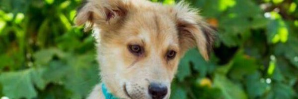 You_Mech Profile Banner