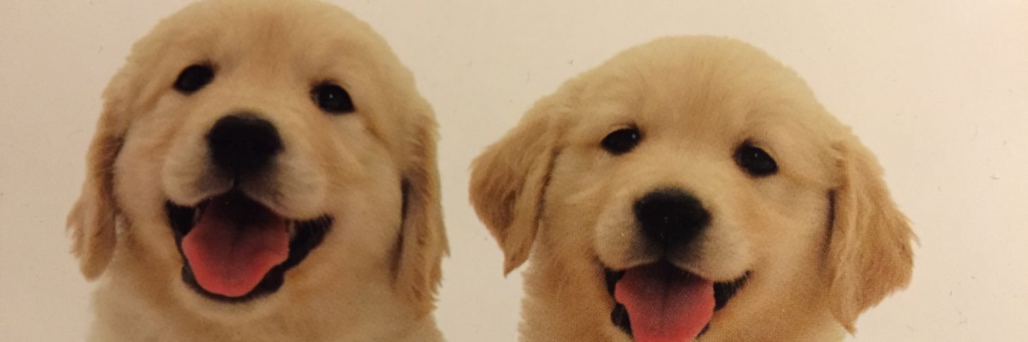 Phillipdanasta3's profile banner image