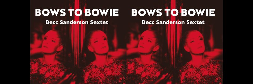 Becc Sanderson banner