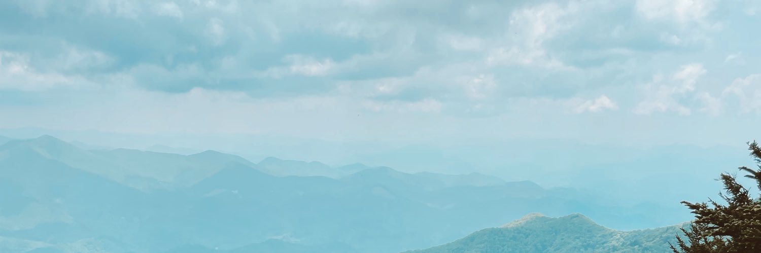 CalaRobertson's profile banner image