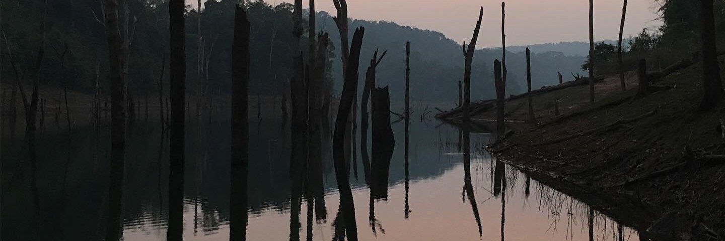 tsmarshall24's profile banner image