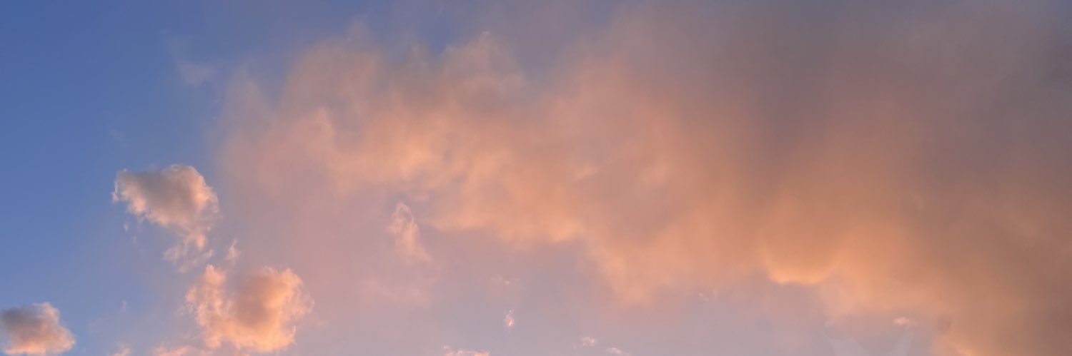 Kadence Englehardt banner