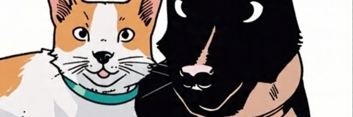 sjeluna's profile banner image