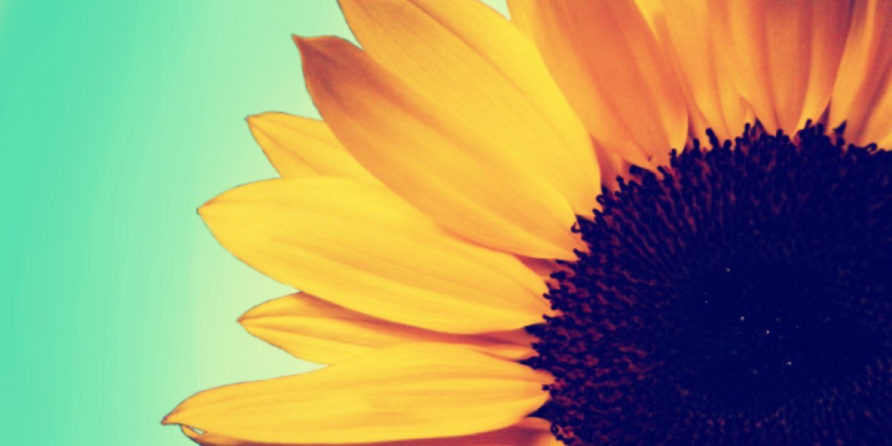 AnggelinT's profile banner image