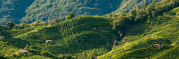 ValdocaProsecco's profile banner image