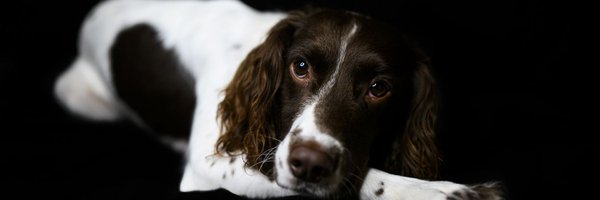 iAMstevebabb Profile Banner