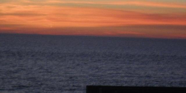 Lotusly's profile banner image