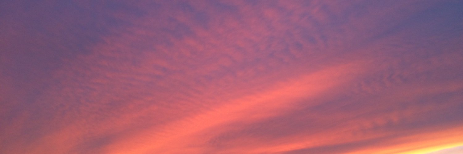 tracey2bits's profile banner image