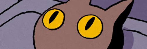 Stevy banner
