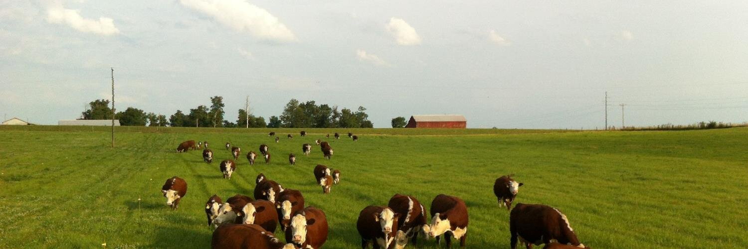 Chad Sullivan banner