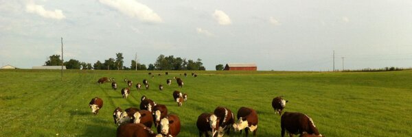 Chadsu42 Profile Banner