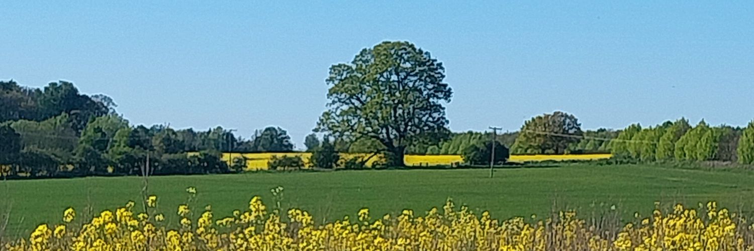 Elaine Copperwaite banner