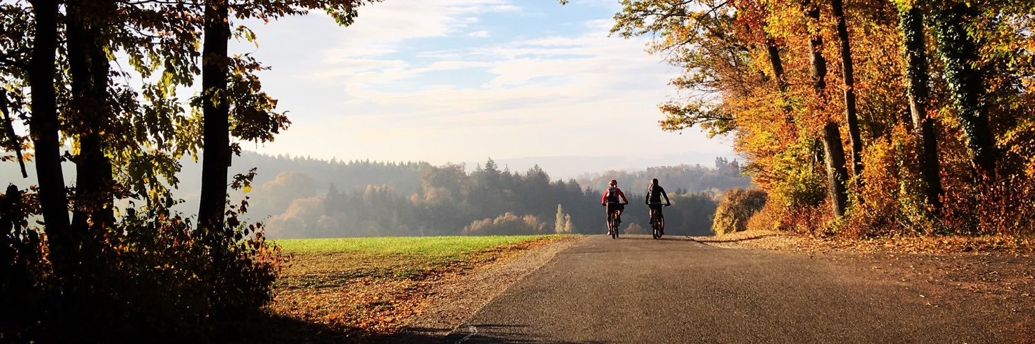 Cherie Redecker banner