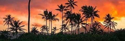 oahu74's profile banner image