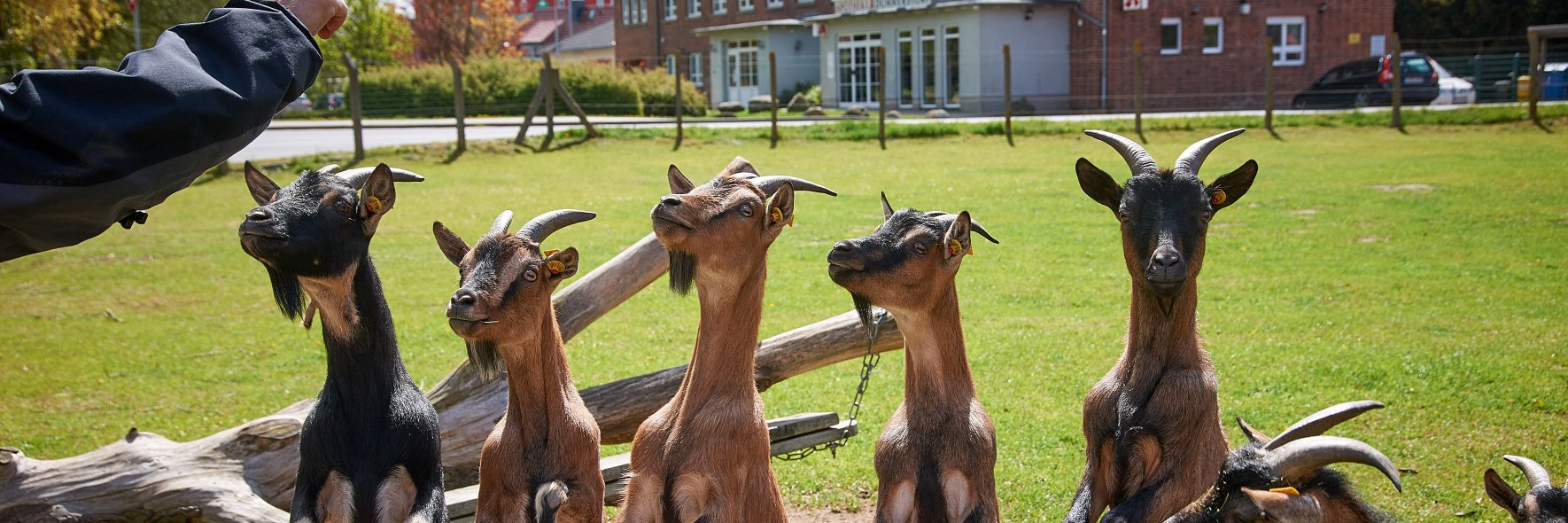 Christian Nawroth banner