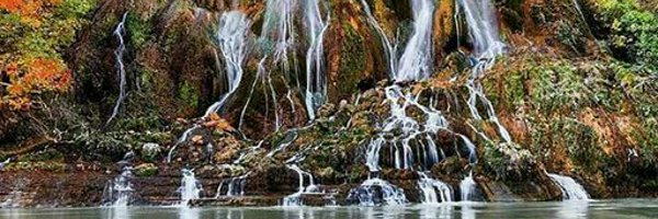 Midrees46121157 Profile Banner