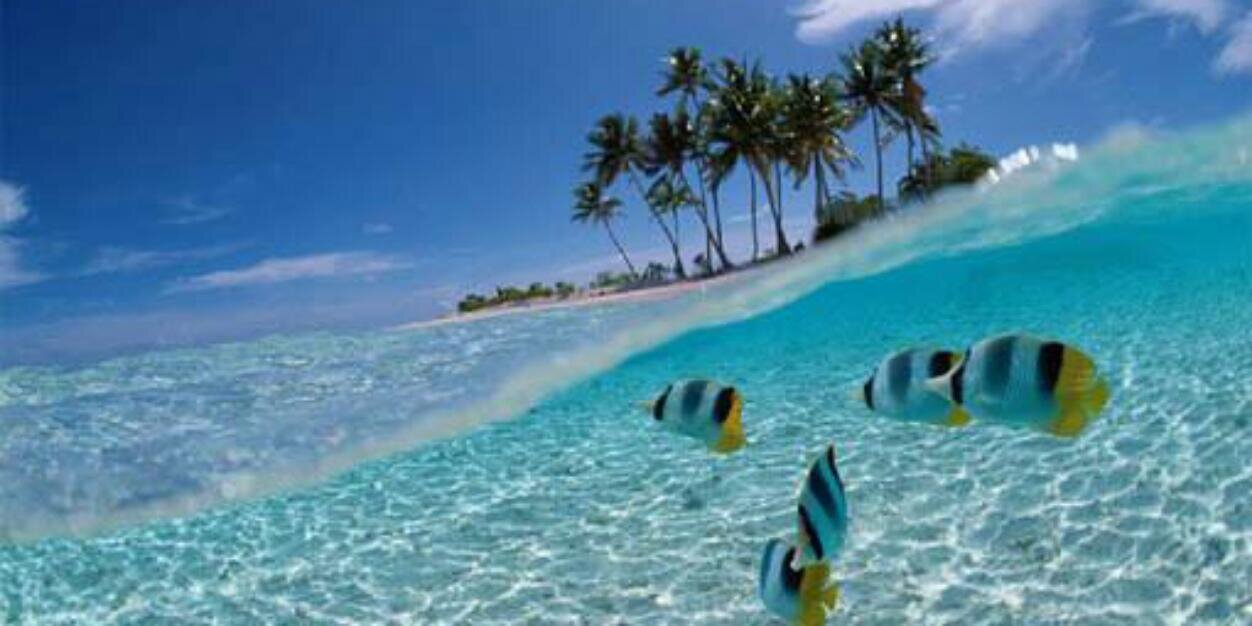 nelian anggun fristy banner