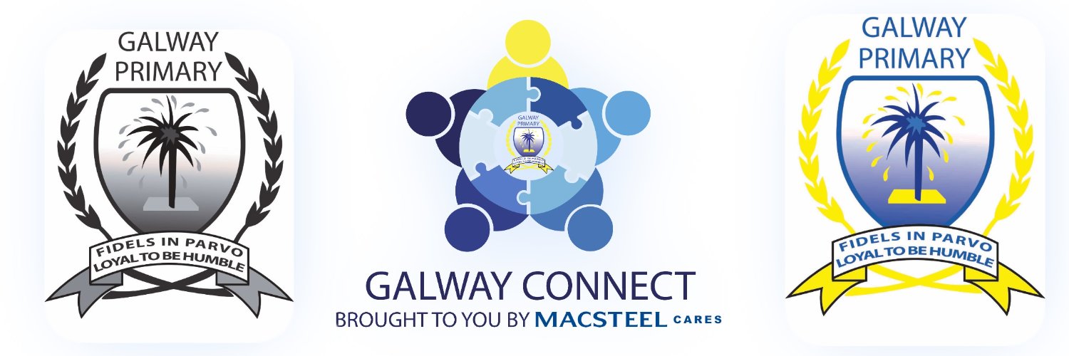 GalwayPrimary banner
