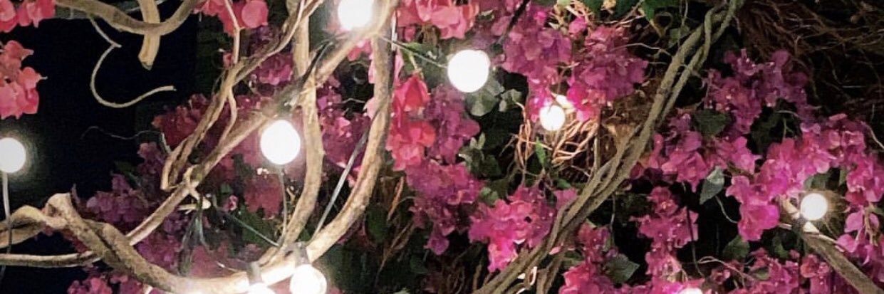 lov3al1's profile banner image