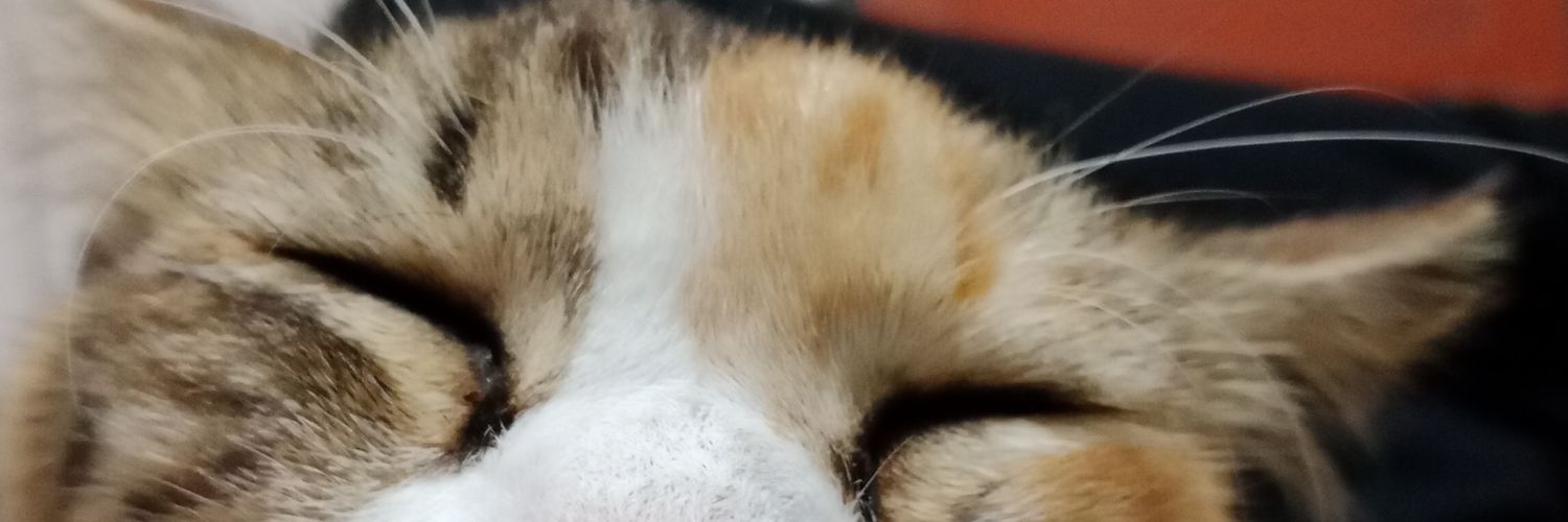 APratamaaa's profile banner image