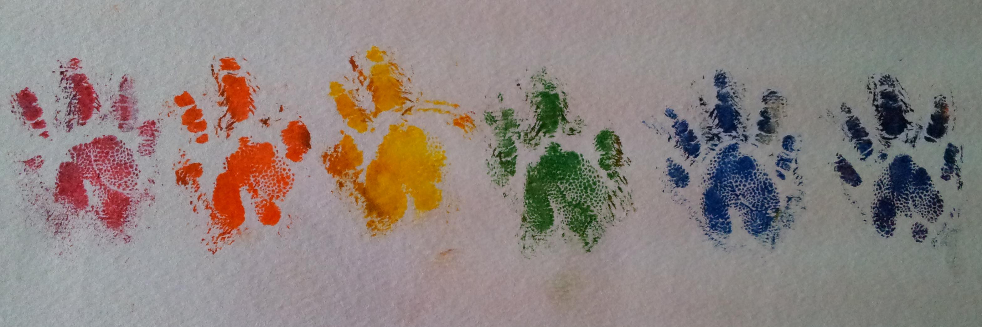 Caitybug36's profile banner image