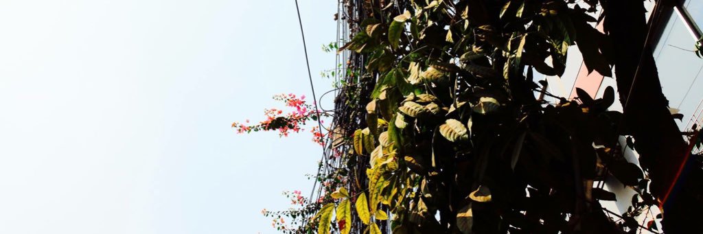 shudha_'s profile banner image