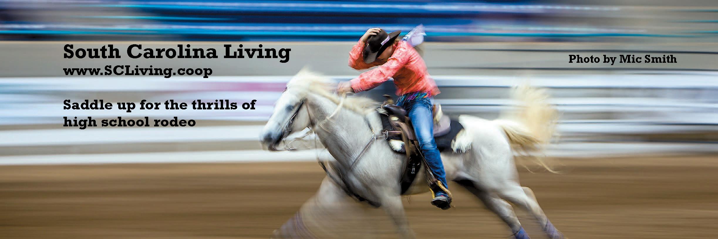 SCLiving_Mag's profile banner image